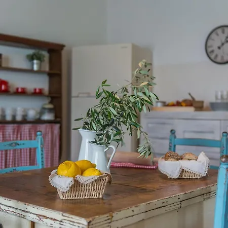 Larissa Vila New Translation