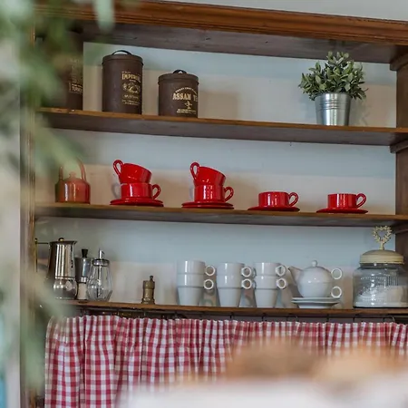 Larissa Vila New Translation