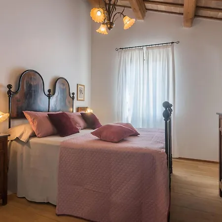 Larissa Vila New Translation