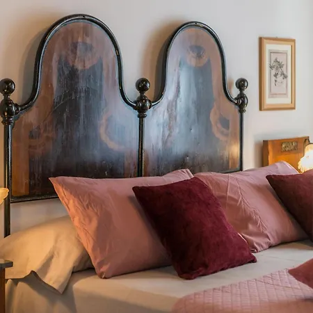 Larissa Vila New Translation