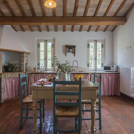 Larissa Vila New Translation