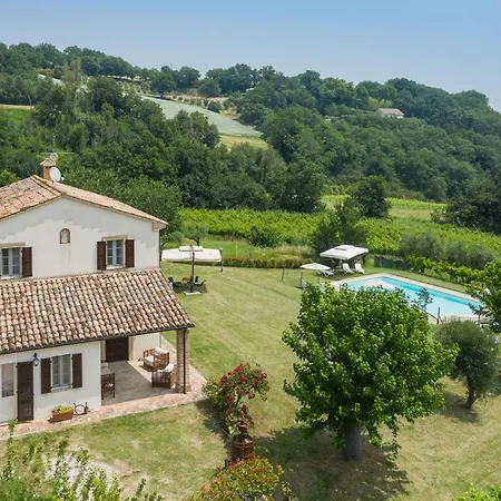 Larissa New Translation